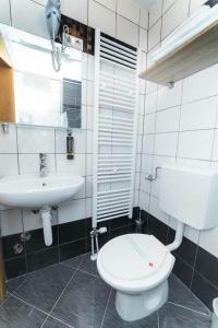察津Motel Stovrela的浴室配有白色卫生间和盥洗盆。