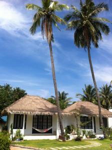 林信莱姆星白宫度假村的两棵棕榈树在房子前面