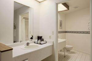 布雷斯布里奇布雷斯布里奇旅程住宿酒店的白色的浴室设有水槽和卫生间。