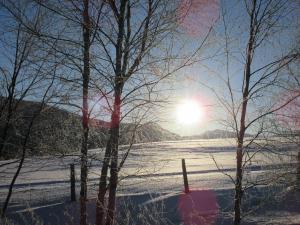 Dovre托福默旅馆的一片雪地,阳光照在树后