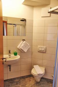 格赖夫斯瓦尔德祖尔布吕克酒店的一间带水槽、卫生间和镜子的浴室