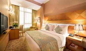 巴格达珊瑚巴格达酒店 的酒店客房设有一张大床和一台电视。