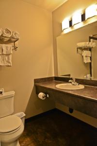 Assiniboia121 Steakhouse & Motel的一间带卫生间和水槽的浴室
