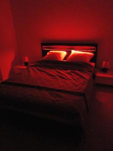 圣路易Appartement 3 pièces的红色房间的一个床位,配有两个枕头