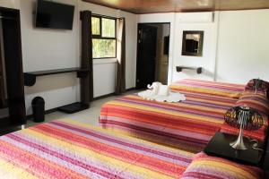 福尔图纳阿雷纳尔乡村酒店的一间酒店客房,设有两张床和电视