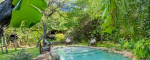 侯斯普瑞特Little Bush Lodge的花园内的游泳池,花园内有两把椅子和树木