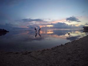 小琉球岛幸福乐民宿的两人在日落时分在海滩上散步