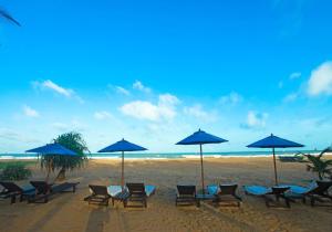 尼甘布Beacon Beach Hotel Negombo的相册照片