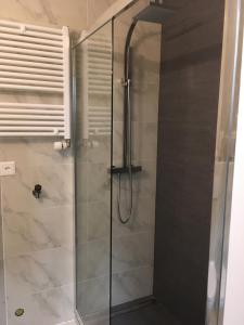 日内瓦Residence de luxe tout confort的浴室里设有玻璃门淋浴
