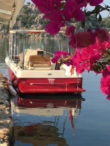 Kaleucagız奇科瓦戴姆萨旅馆的一条红色和白色的船,在水中,有粉红色的花朵