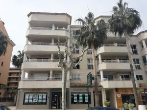 阿尔比尔Albir Sunshine Apartments的一座白色的建筑,前面有棕榈树