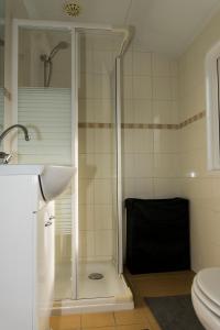 圣安娜兰Chaletparc Krabbenkreek Zeeland - Chalet 6的带淋浴的浴室(带卫生间和水槽)