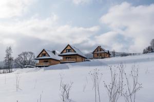 齐斯纳Krzywy Zakątek的雪中一组木屋