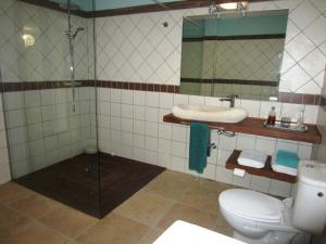 拉帕拉德Casa Perenquén的浴室配有卫生间、盥洗盆和淋浴。