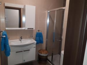 圣保罗湾城D Bay Apartments的带淋浴、盥洗盆和卫生间的浴室
