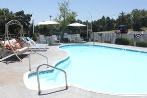 布兰森秀岭酒店的一个带椅子和遮阳伞的大型游泳池