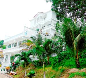 塔沃加Taboga Palace SPA Hotel的一座白色的大建筑,前面有棕榈树