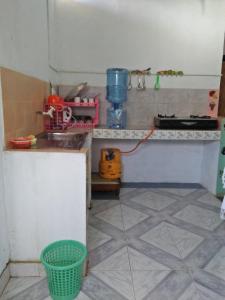 阿努拉德普勒Kingfisher Hostel的厨房配有水槽和台面