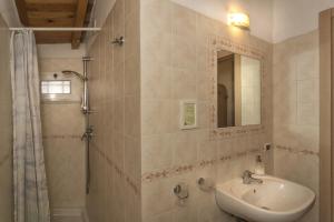 比萨阿菲塔卡马雷易来莎酒店的一间带水槽、淋浴和镜子的浴室