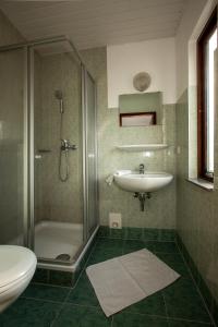新勃兰登堡Pension ,,Vier Tore''的带淋浴、盥洗盆和卫生间的浴室