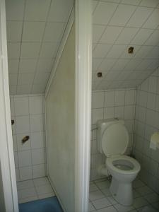 Malsch克拉查依蒂尔酒店的一间带卫生间和淋浴的浴室