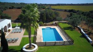 桑特柳伊斯Son Set Villa的享有游泳池的顶部景色,游泳池拥有棕榈树