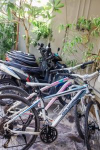 坎古巴厘岛马特拉冲浪营旅馆的彼此相邻的自行车