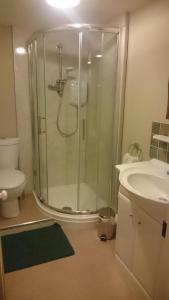霍尔斯沃西Claw House的带淋浴、卫生间和盥洗盆的浴室
