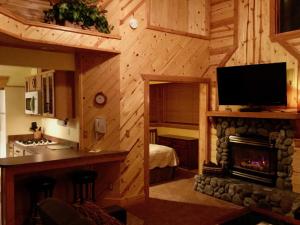 Running SpringsGiant Oaks Lodge的小木屋内的厨房和带壁炉的客厅