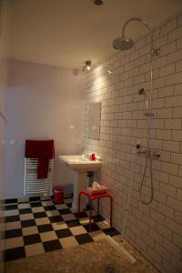 斯特拉斯堡塞勒斯盯尚波酒店的一间带水槽和淋浴的浴室