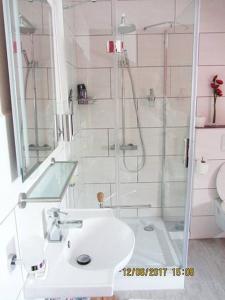 巴特德里堡Haus Harmonie的白色的浴室设有水槽和淋浴。