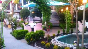 扬博尔Hotel Kapri的一座花园,在一座建筑前设有一个游泳池