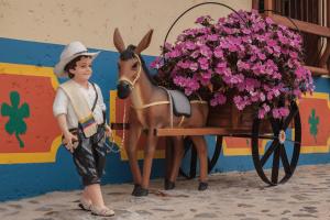 贾丁La Divina Providencia的站在玩具马和鲜花旁边的男孩