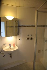 石勒苏益格Ferienappartments Schleswig的浴室配有盥洗盆和带镜子的淋浴