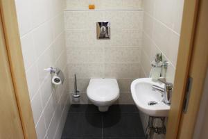 韦伦采Velence Resort Apartman的一间带卫生间和水槽的小浴室