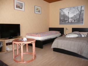 陶努斯山麓霍夫海姆Haus Weschke的客房设有两张床、一台电视和一张桌子。