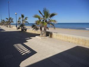 Playa de MiramarChalet cerca del mar的海滩旁人行道上的棕榈树