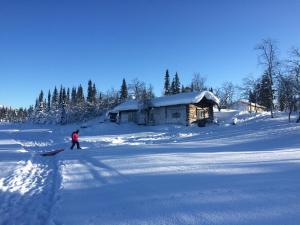 KoskullskulleAurora Nova的站在小屋前的雪中行走的人