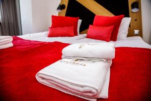 MezowoEstancja Mezowo的一张带红色枕头的床和白色毛巾