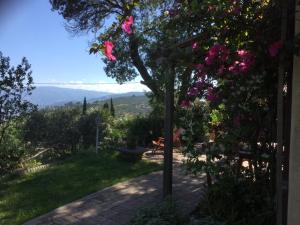 斯塔莱蒂Cottage Torre Elena - Staletti的从带粉红色花卉的房屋花园中欣赏到美景