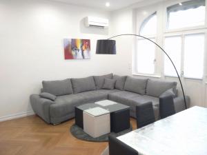 斯特拉斯堡Avenue de La Paix - L'Exclusif的客厅配有灰色的沙发和桌子