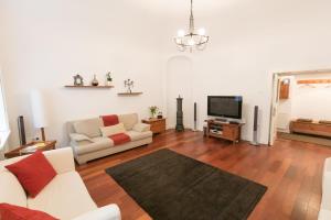埃格尔埃格尔设计公寓的带沙发和电视的客厅