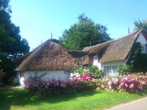 尼布卢姆Föhrer Friesenkate Ost的白色小屋,拥有茅草屋顶和鲜花