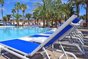 马斯帕洛马斯厄沃金色花园套房酒店的游泳池旁的一排躺椅