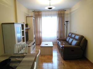 奥利特Apartamento turistico Olite的客厅配有真皮沙发和电视
