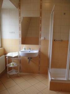 切布尼察Hotel Pod Platanami的一间带水槽和淋浴的浴室
