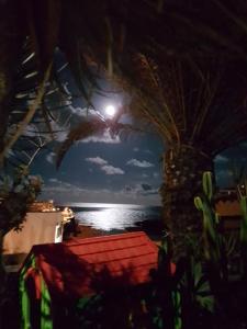 塔马达斯特Vivienda Vacacional Monteprimero 2的夜晚海滩与月亮的景色