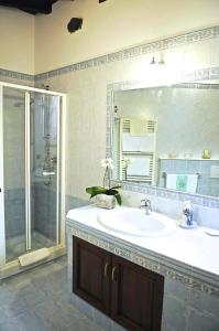 蒙特罗索阿尔马雷Il Giardino Incantato的一间带水槽、淋浴和镜子的浴室