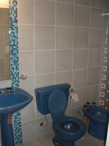 帕特拉德拉帕特拉Palmares Del Paso的浴室设有蓝色的卫生间和水槽。