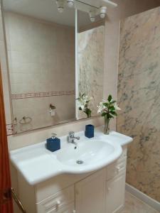 普拉亚布兰卡Apartamentos Casa Cipri的浴室设有白色水槽和镜子